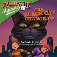 The_Black_Cat_Change-Up